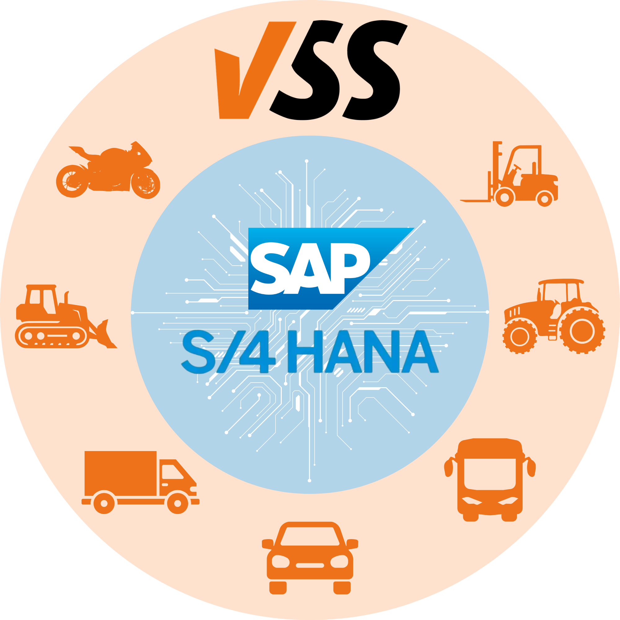 vss s4hana Graphic