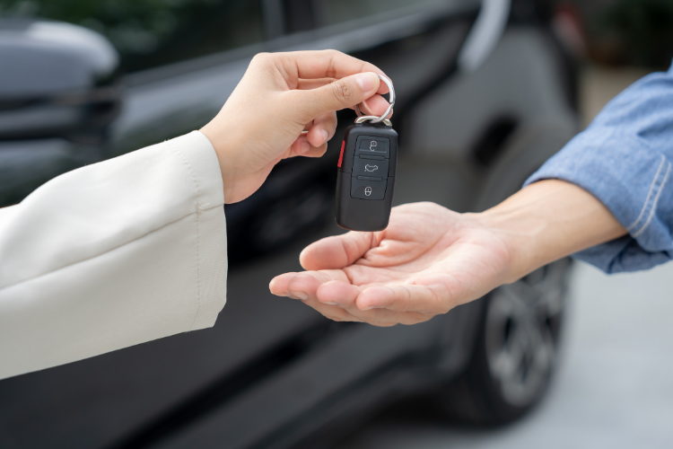 automotive resilience and risk