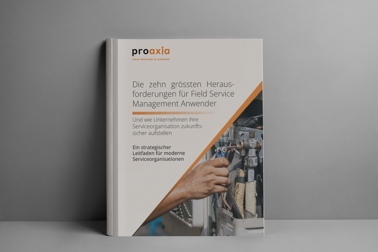 10 grössten herausforderungen FSM anwender picture